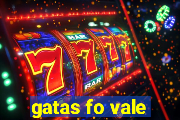 gatas fo vale